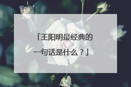 王阳明最经典的一句话是什么?