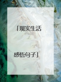 现实生活感悟句子
