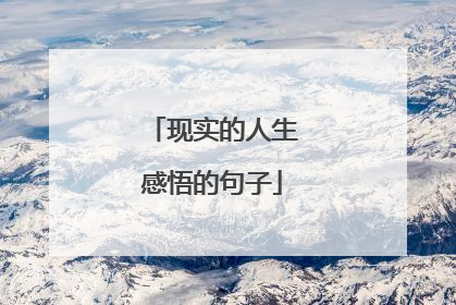 现实的人生感悟的句子