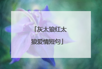 灰太狼红太狼爱情短句