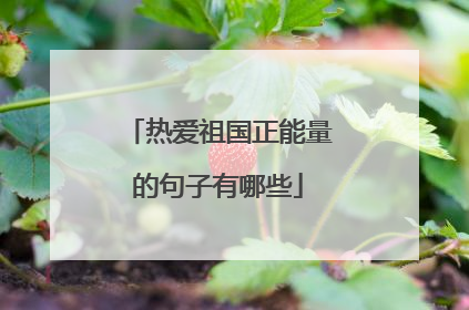 热爱祖国正能量的句子有哪些