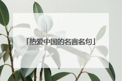 热爱中国的名言名句