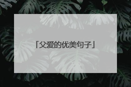父爱的优美句子