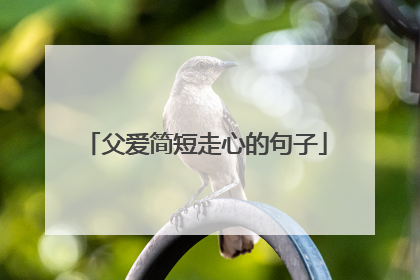 父爱简短走心的句子