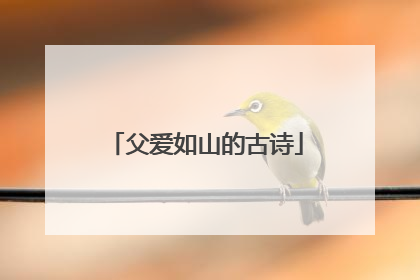父爱如山的古诗