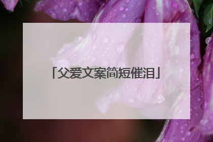 父爱文案简短催泪