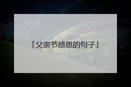 父亲节感恩的句子