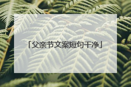 父亲节文案短句干净