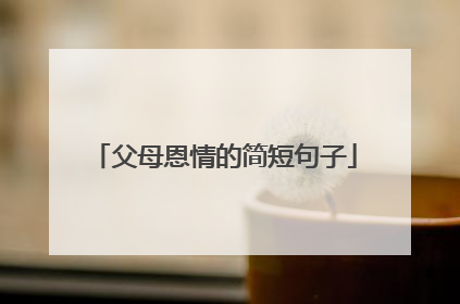 父母恩情的简短句子