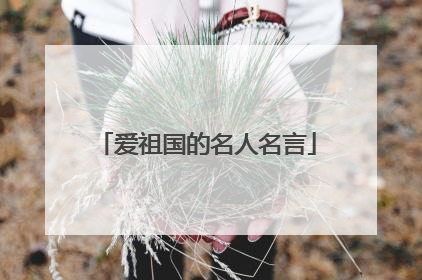 爱祖国的名人名言