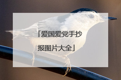 爱国爱党手抄报图片大全