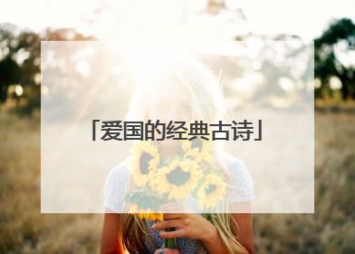 爱国的经典古诗