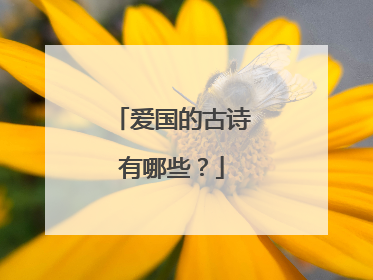 爱国的古诗有哪些?