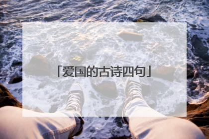 爱国的古诗四句