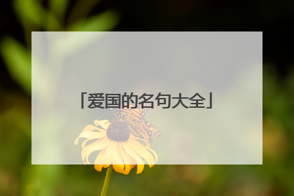 爱国的名句大全