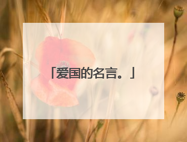 爱国的名言。