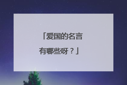 爱国的名言有哪些呀?