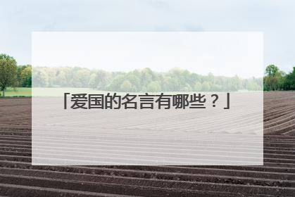 爱国的名言有哪些?