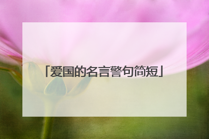 爱国的名言警句简短