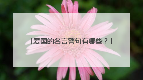 爱国的名言警句有哪些?