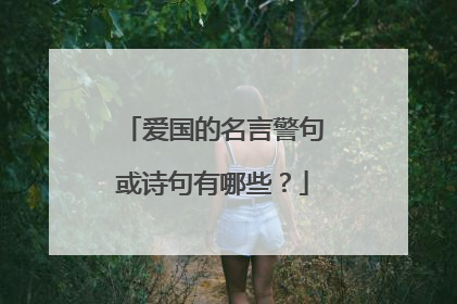 爱国的名言警句或诗句有哪些?