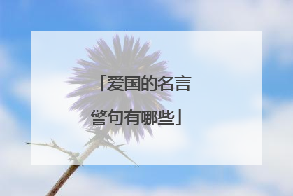 爱国的名言警句有哪些