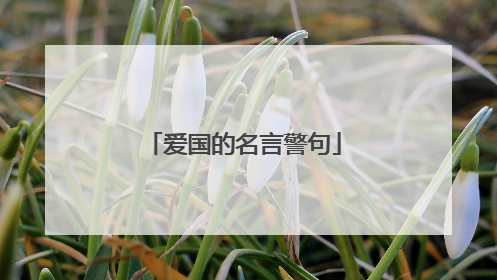 爱国的名言警句