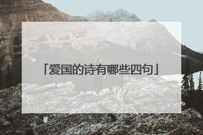 爱国的诗有哪些四句