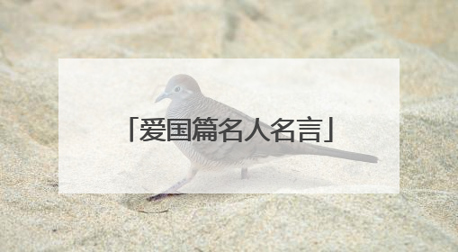 爱国篇名人名言