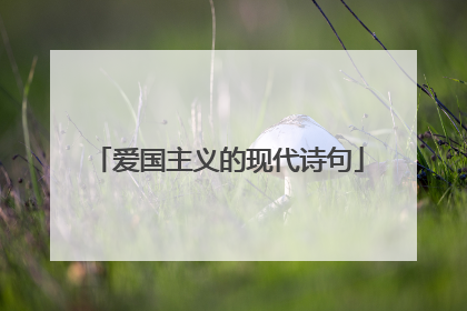 爱国主义的现代诗句