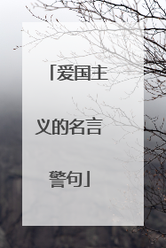爱国主义的名言警句