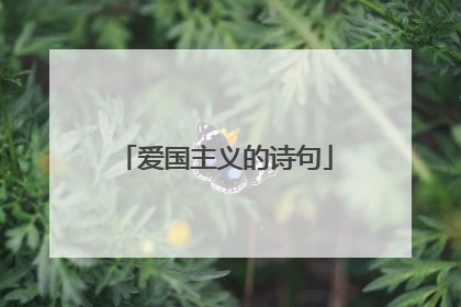 爱国主义的诗句