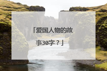 爱国人物的故事30字?