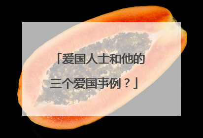 爱国人士和他的三个爱国事例?