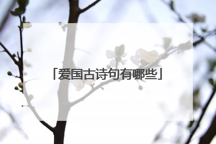 爱国古诗句有哪些