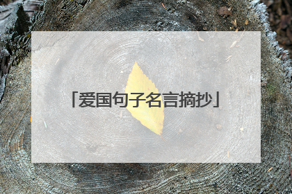 爱国句子名言摘抄