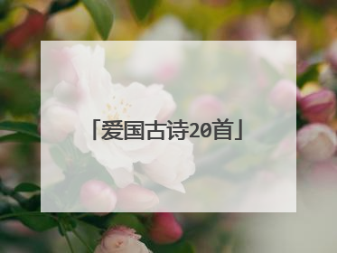 爱国古诗20首