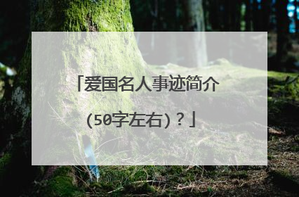爱国名人事迹简介(50字左右)?