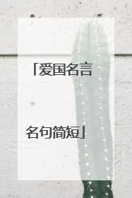 爱国名言名句简短