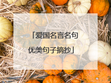 爱国名言名句优美句子摘抄