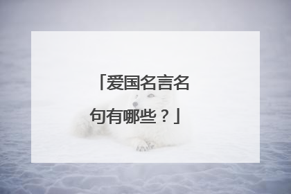 爱国名言名句有哪些？