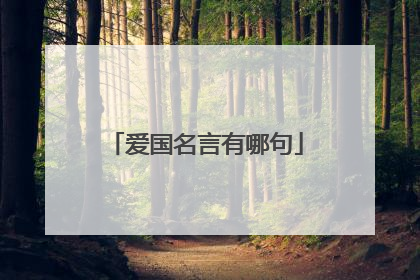 爱国名言有哪句