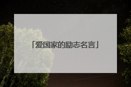 爱国家的励志名言