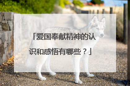 爱国奉献精神的认识和感悟有哪些?