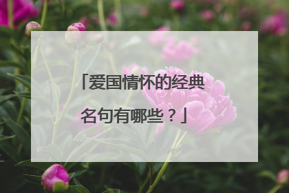 爱国情怀的经典名句有哪些?