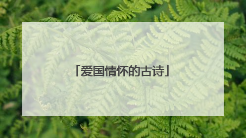 爱国情怀的古诗