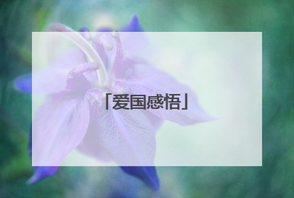爱国感悟