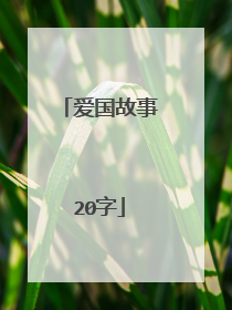 爱国故事20字