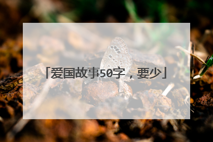 爱国故事50字,要少