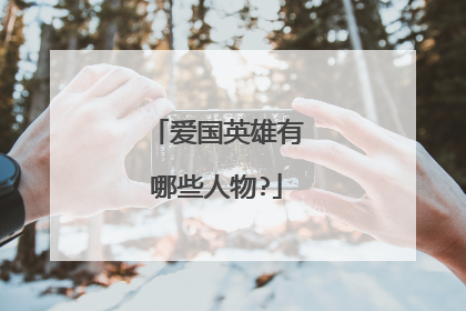 爱国英雄有哪些人物?